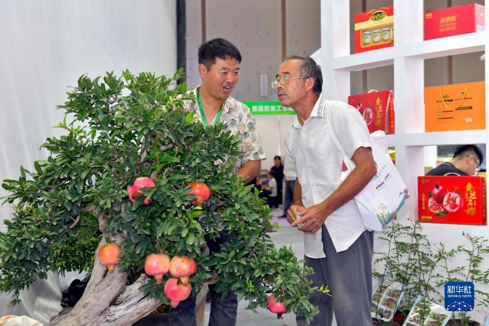 星耀娱乐平台